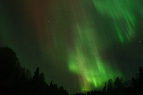 Rovaniemi Northern Lights – The Real Guaranteed Hunt