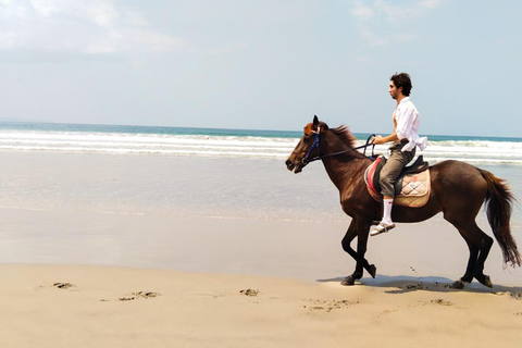 Bali: Paardrij tour op Seminyak strand inclusief vervoerBali: Paardrijden 1 uur Inclusief vervoer