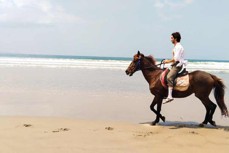 Bali: Paardrij tour op Seminyak strand inclusief vervoerBali: Paardrijden 1 uur Inclusief vervoer