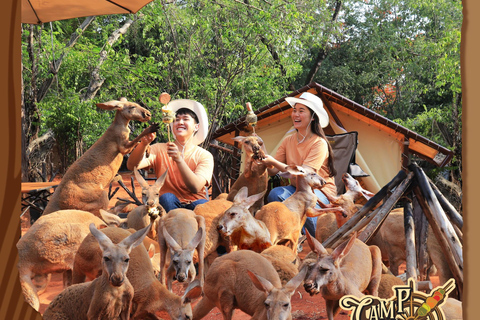Bangkok: Private Family Tour to Safari & River Dinner Cruise