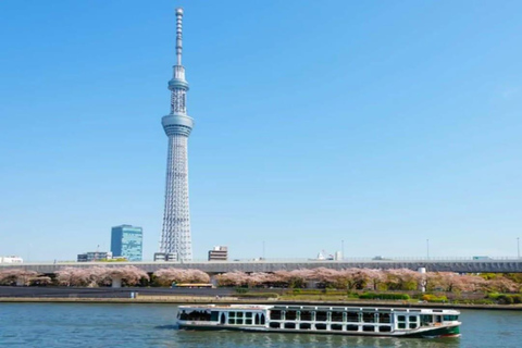 Tokyo: Private 1-Day Tour with English-Driver, Customizable