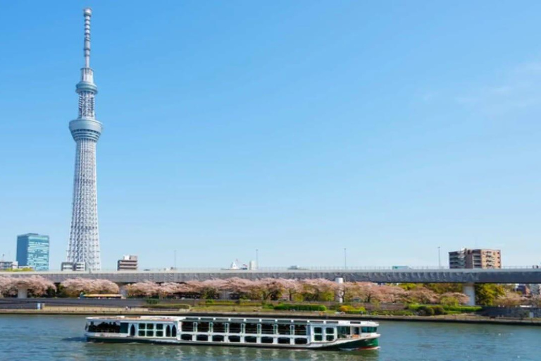 Tokyo: Private 1-Day Tour with English-Driver, Customizable