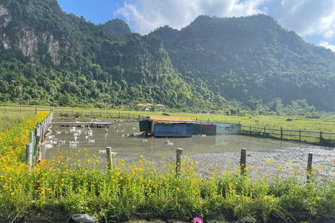 Hanoi/Catba: 2-Day Adventure Cat Ba National Park,Lan Ha Bay From Hanoi: 2-Day Adventure