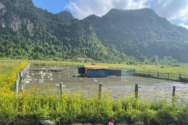 Hanoi/Catba: 2-Day Adventure Cat Ba National Park,Lan Ha Bay From Hanoi: 2-Day Adventure