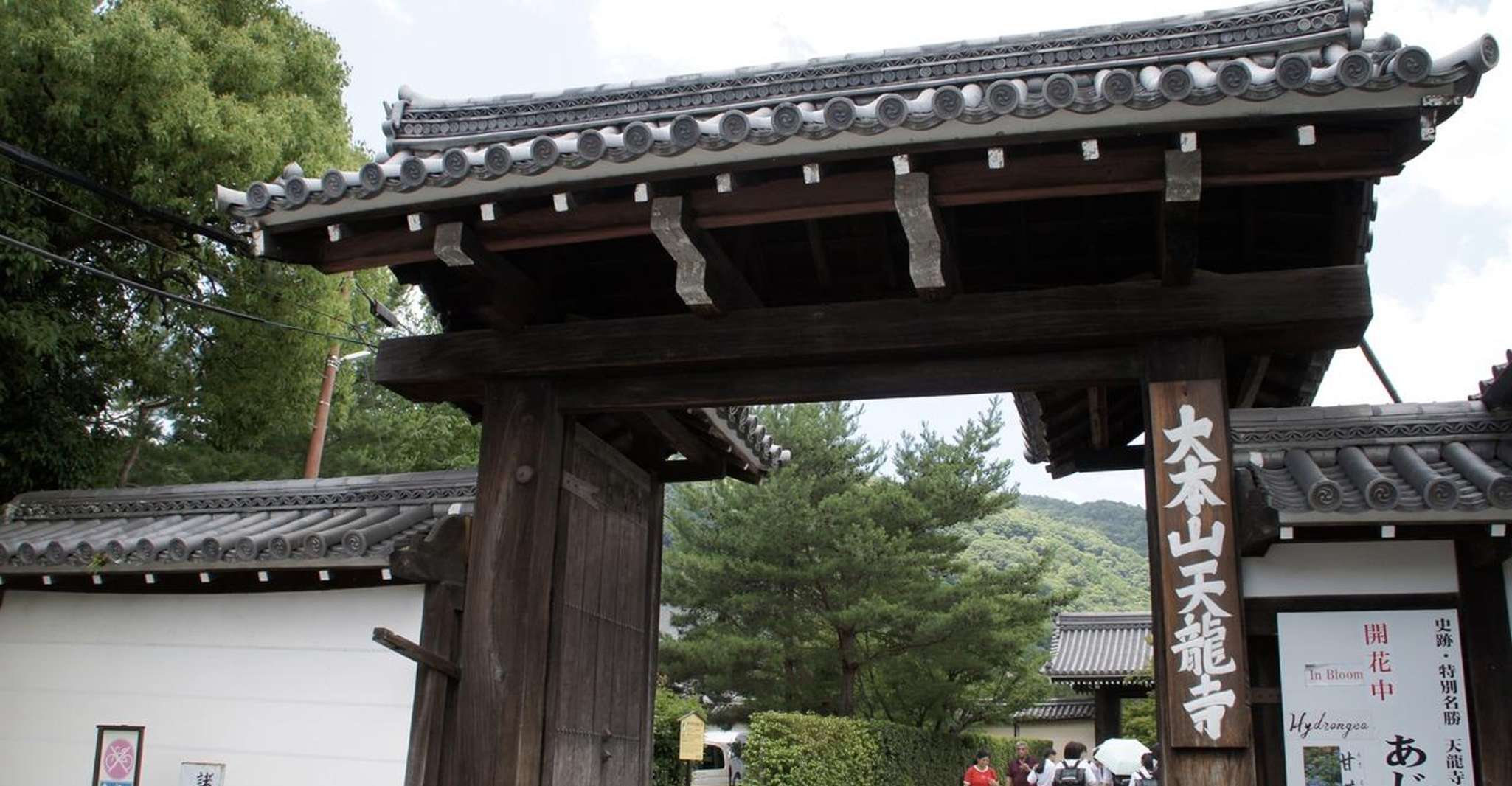 Kyoto: Arashiyama Bamboo, Matcha, Monkeys & Temple Tour photo 2