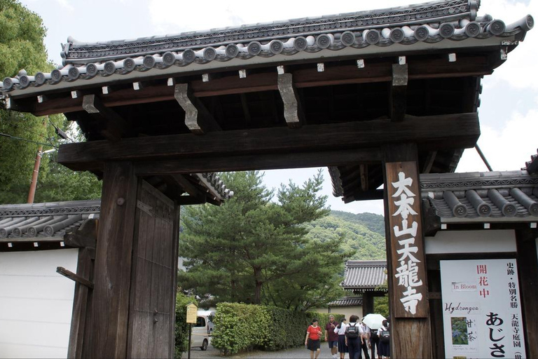 Quioto: Bambu de Arashiyama, Matcha, Macacos e Passeio pelo TemploKyoto: Passeio pela Floresta de Bambu de Arashiyama, Macacos e Templo