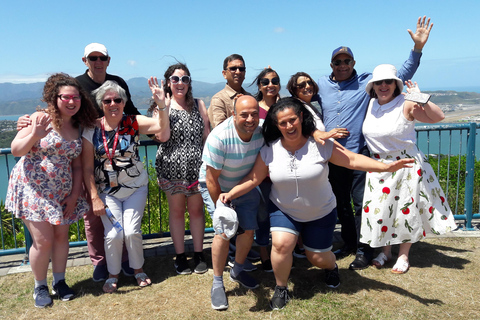 Wellington : Visite guidée des points forts de la ville avec montée en téléphérique