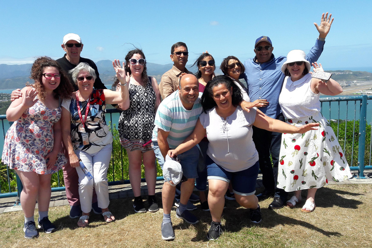 Wellington: Tour guidato della città con viaggio in funivia