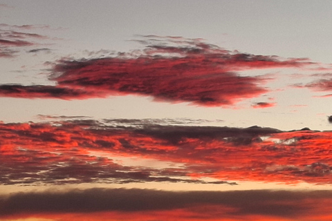 Swakopmund: Namib Desert Sunrise, Seals & Sandwich Harbour