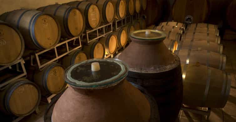 Winery Tour with Wine & Food Tasting near Riccione & Rimini