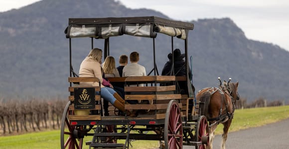 Pokolbin: Harvest the Hunter Horse Drawn Carriage Tour 3hrs