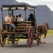 Pokolbin: Harvest the Hunter 3-Hour Horse-Drawn Carriage Tour
