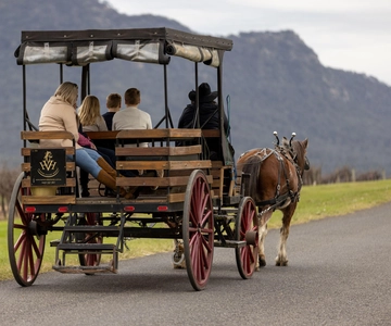 Pokolbin: Passeio de carruagem puxada por cavalos Harvest the Hunter 3 horas
