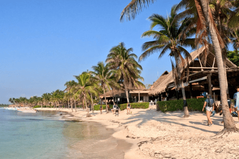 Från Cancun: Tulum, Cenote och sköldpaddssimning i Akumal