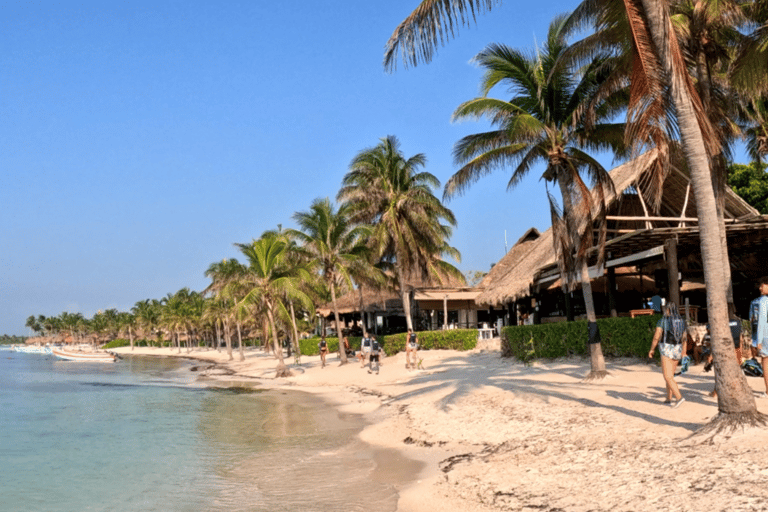 Från Cancun: Tulum, Cenote och sköldpaddssimning i Akumal