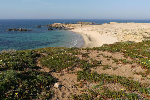 North of Africa: Bizerte, Cap Angela and Ichkeul Day Trip From Sousse/Monastir : North of Africa Tour Pick Up Included