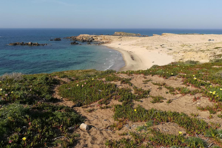 North of Africa: Bizerte, Cap Angela and Ichkeul Day Trip From Sousse/Monastir : North of Africa Tour Pick Up Included