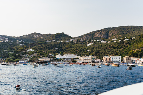 Capri e Area naturale della Baia di Ieranto: tour in barca guidato da SorrentoTour con prelievo