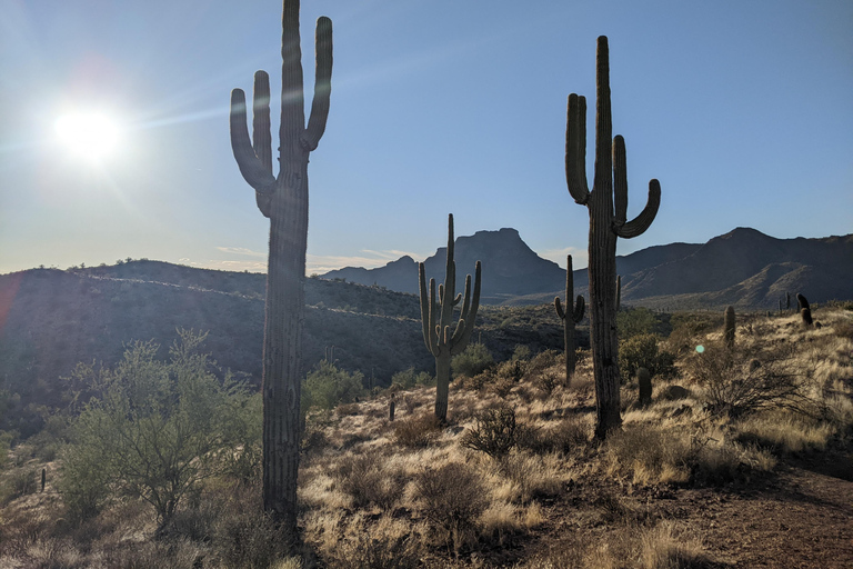 Mesa: Copper Mile Desert Hike