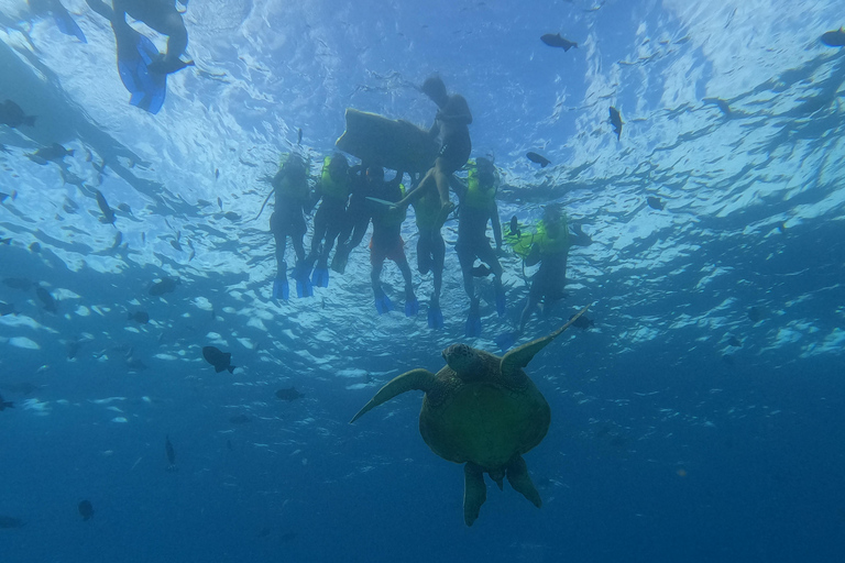 Honolulu: Snorkelen met schildpadden, waterscooter, paddleboardOahu: Snorkelen met schildpadden, waterscooter, paddleboard