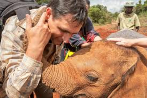 Nairobi : Visite privée du David Sheldrick Wildlife Trust