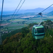 Cairns: Army Duck, Wildlife & Skyrail Rainforest Tour