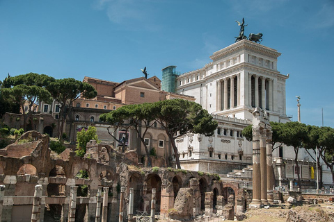 Roma: Coliseo, Foro Romano y Palatino Ticket de entrada sin colas