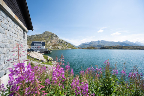Interlaken: Guided Bus Tour with Swiss Locals