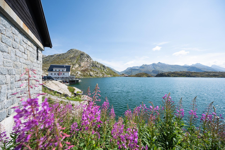 Interlaken: Guided Bus Tour with Swiss Locals