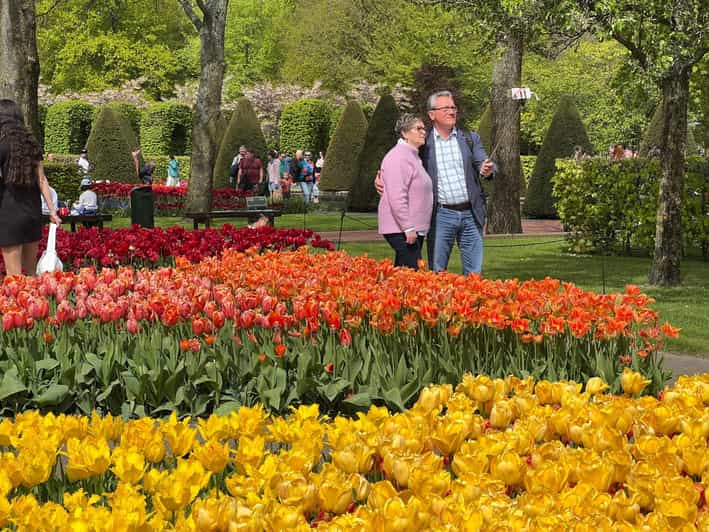 Amsterdam: Keukenhof Tulip Garden and Giethoorn Experience | GetYourGuide