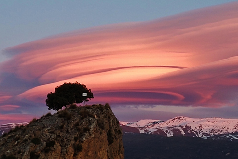 ⭐ Excursión al atardecer y cumbre de Sierra Nevada con cachorro ⭐⭐ Excursión al atardecer y cumbre de Sierra Nevada Excursión privada con cachorro ⭐