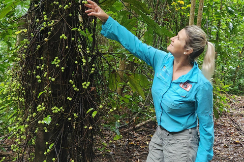 Watervallen &amp; Bushwalk Eco Avontuur Tour Whitsundays