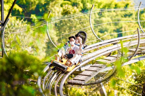 Chiang Mai : Pongyang Jungle Coaster & ZiplineZipline 12 stations