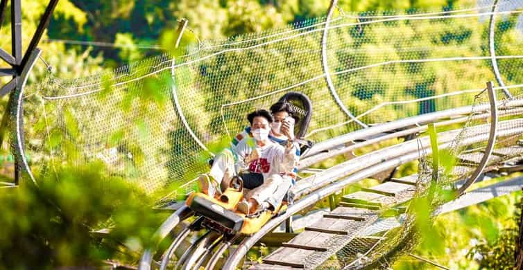 Pongyang Jungle Coaster Zipline Chiang Mai Province Book