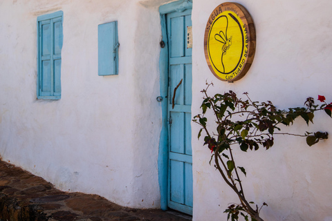 Santander: BioTour wild bees honey and more. Bee Masterclass + honey tasting or beeswax candle tasting