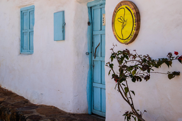 Santander: BioTour wild bees honey and more. Bee Masterclass + honey tasting or beeswax candle tasting