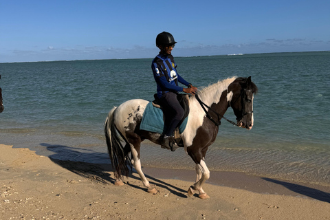 Descubriendo el sur. Paseos a caballo por la playa, excursiones a cascadas.