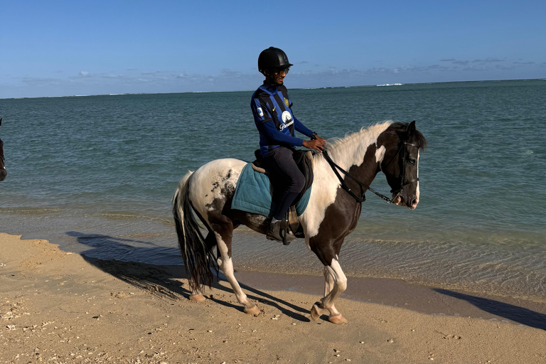 Descubriendo el sur. Paseos a caballo por la playa, excursiones a cascadas.