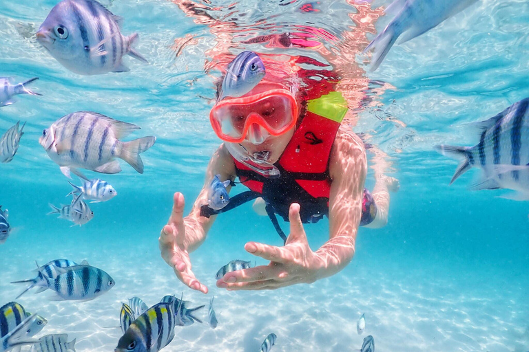 Snorkel &amp; Chill: wycieczka na wyspę Nemo z PattayaNurkowanie z rurką i relaks: wycieczka na wyspę Nemo z Pattaya