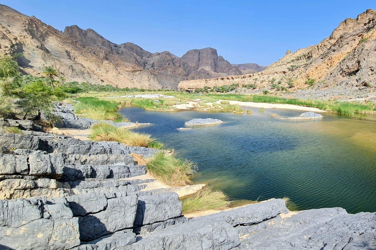 Muscat: 12 - Hours Wadi Adventure & Muscat City Tour