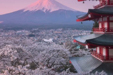 Tokyo: Mt. Fuji & Gotemba Premium Outlets Private Day Tour