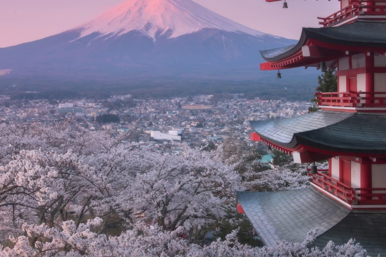 Tokyo: Mt. Fuji & Gotemba Premium Outlets Private Day Tour