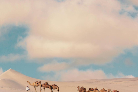 Safari condiviso nel deserto di mezza giornata con giro in cammello e sandboarding