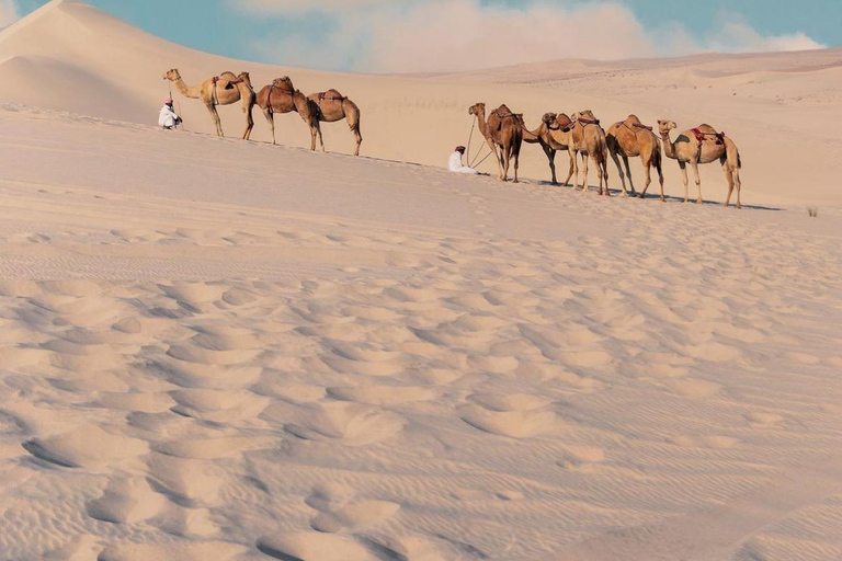 Safari condiviso nel deserto di mezza giornata con giro in cammello e sandboarding