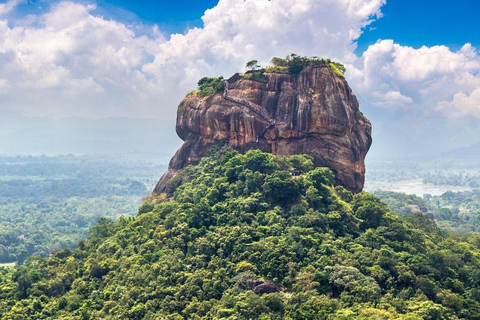 De Colombo: Excursão a Sigiriya e Dambulla com um Safari