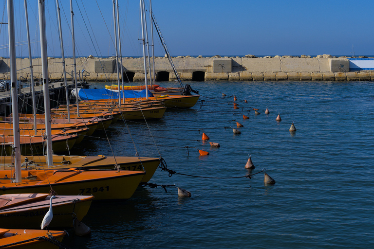 Tel Aviv: tour a piedi della città vecchia di Jaffa, del porto e del mercato delle pulciTour per piccoli gruppi