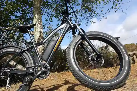 Humboldt: Elektrofahrradverleih (4-Stunden- oder Ganztagesoptionen)
