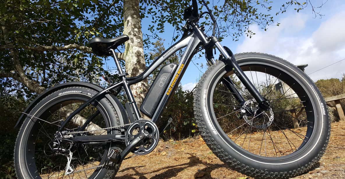 Humboldt: Electric Bike Rentals (4-Hour or Full Day options