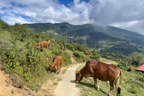 Excursión a la Aldea del Dao Rojo y Baño de Hierbas