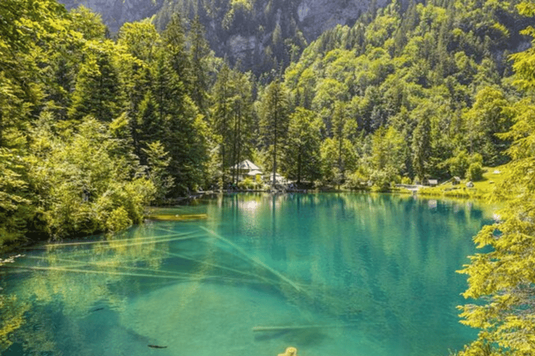 Depuis Zurich : Excursion d&#039;une journée au lac Blausee et au charmant Interlaken